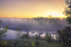 Foggy Sunrise on the Roseau River