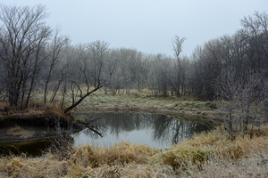 Fog by the River