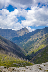 The Mountains of Waterton