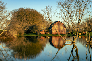 Reflections of Rural Life
