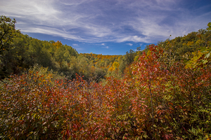 Pembina Valley