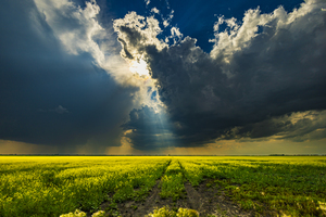Heavens Ray