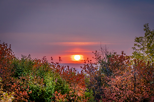 Red Sunset