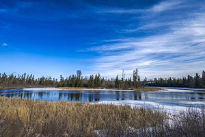 Pine Point Rapids