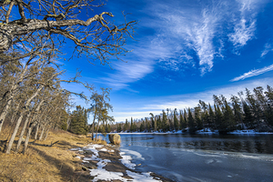 Pine Point Rapids