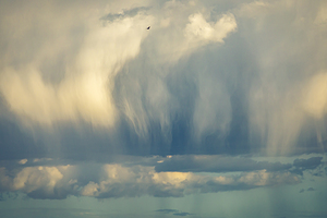 Rain Cloud