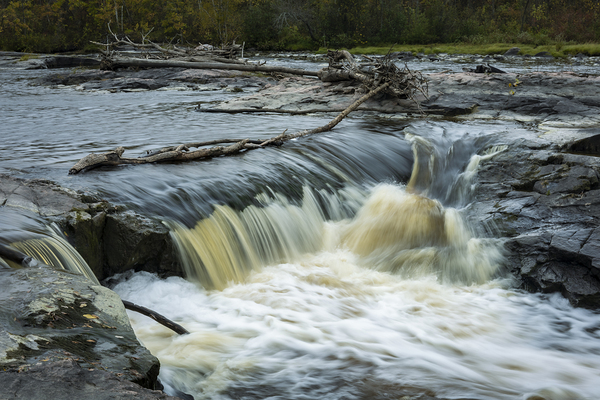 By the Falls Print