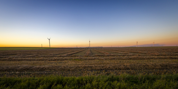 Wind Turbines at Sunset Print