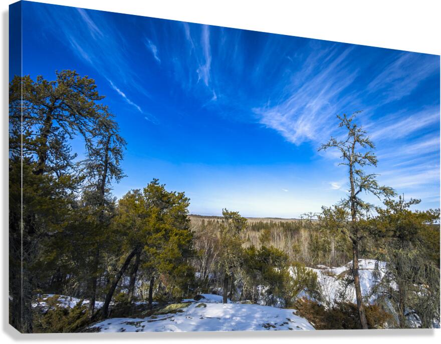 Pine Point Rapids Canvas Print