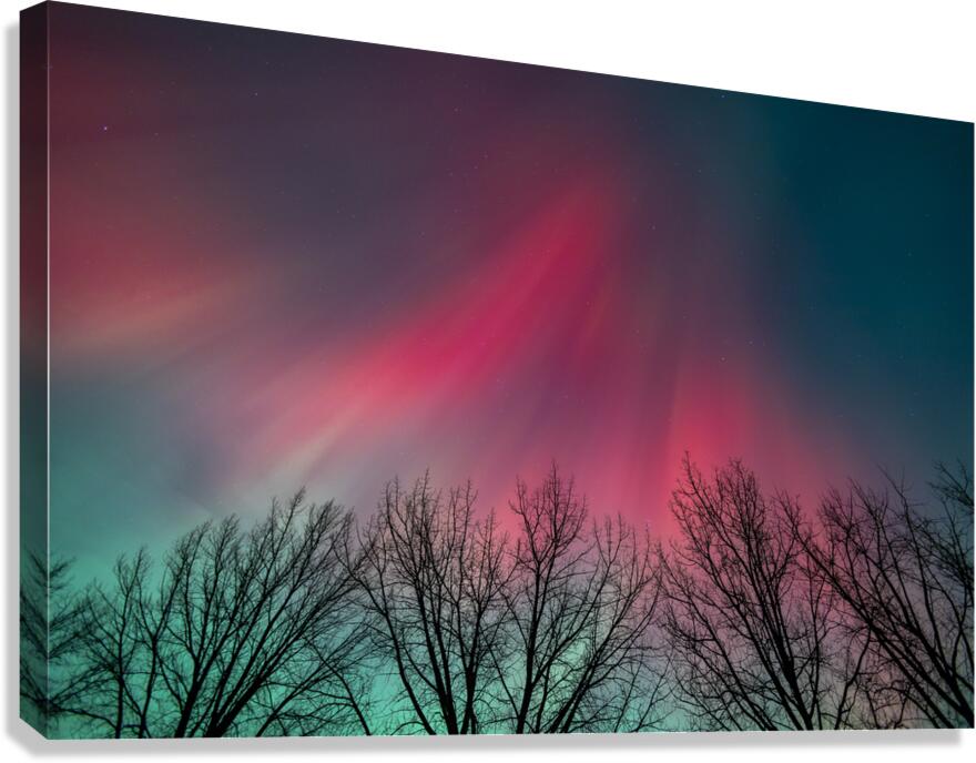 Cosmic Fire Canvas Print