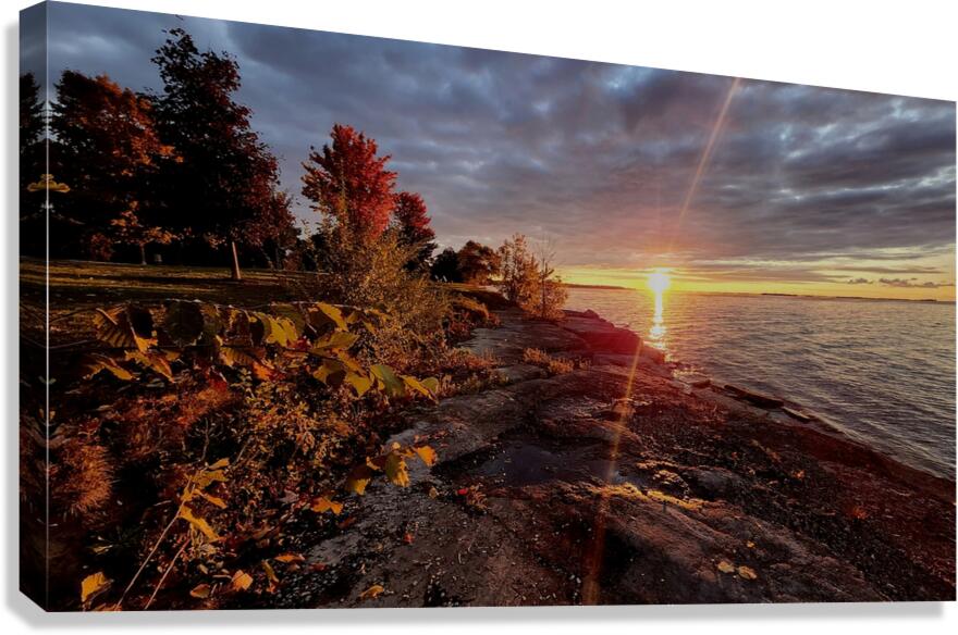 20241009 072349 Canvas Print