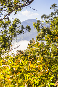 Glimpses Of Mt Perry