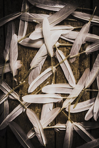 Soft symbol of peace and hope