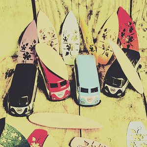 Tropical trippers 1960