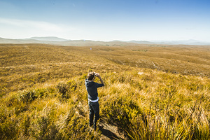 Western Plains of Tasmania