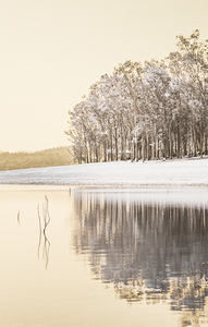 Infrared Lake Samsonvale