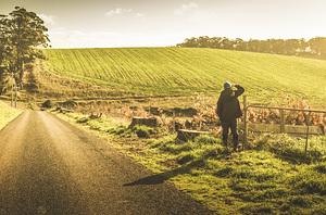 Fielded adventure