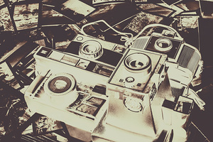 History in development