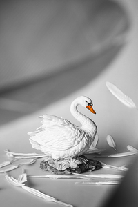 Obscured by floating feathers