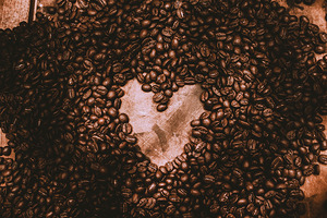 Bean there loved that