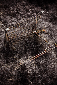 The not so great reset