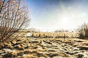 Beauty in rural winters