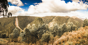 Valley Wonder