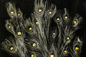 Of many eyes