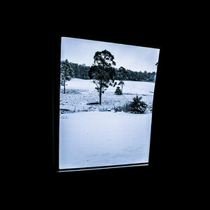 Black and blue snow landscape