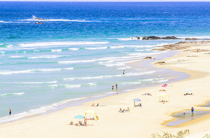 Tropical holidaymakers 