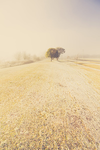 Beauty in a snow capped landscape