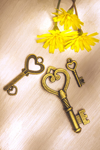 Three heart shaped keys with flowers on wooden table