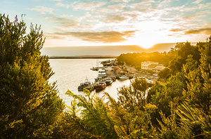 Harbouring a colourful vista