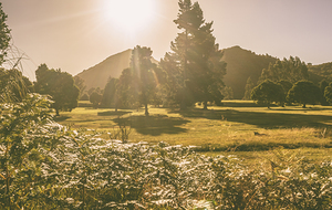 Zeehan afternoon meadows