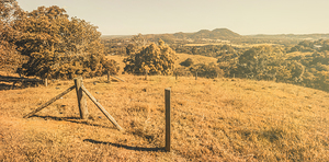Farm fields of Eumundi Sunshine Coast