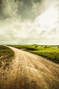 Farmland lane