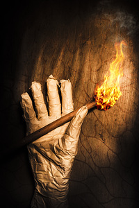 Curse of the tomb robber