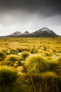 Snowy Tasmania mountain top