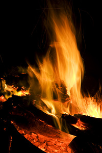Blazing Campfire