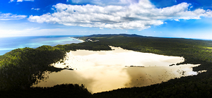 Oasis In Tropical Paradise