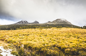 Sub alpine range
