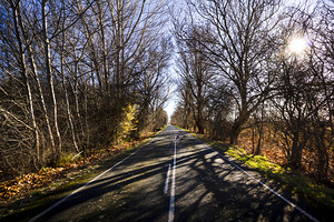 Beautiful roads in winters shadow