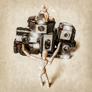 When the photographers away the toys will play