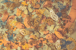 With faded colors and intricate markings