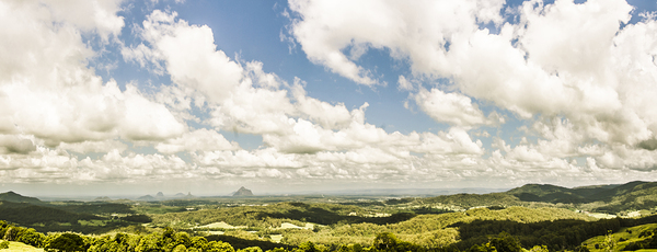 Sunshine Coast Hinterland Panoramic  Print