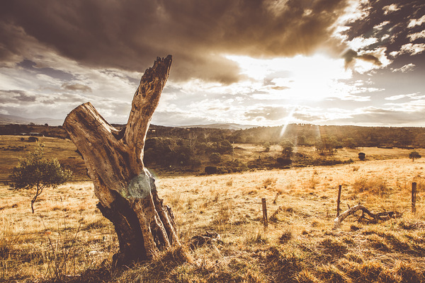 Cranbrook sunset Print