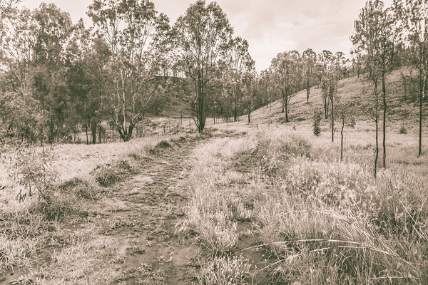 Way beyond outback Print