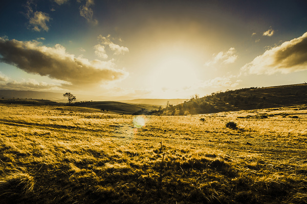 Fields of natural light by Jorgo