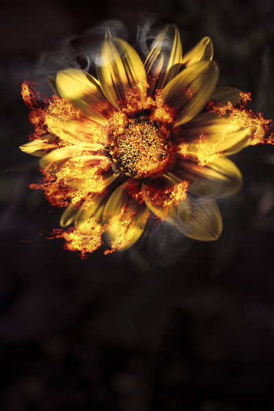 Flames of passion and intimacy by Jorgo