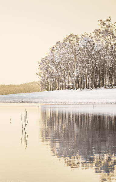 Infrared Lake Samsonvale by Jorgo